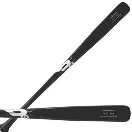 B45 FLAT BAT TRAINER: B45-FLATBAT